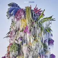 Cover image for Cousin (Vinyl)