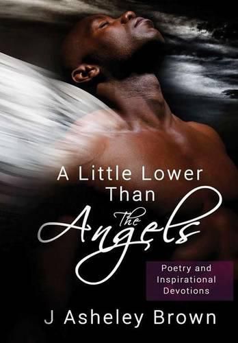 Cover image for A Little Lower Than the Angels