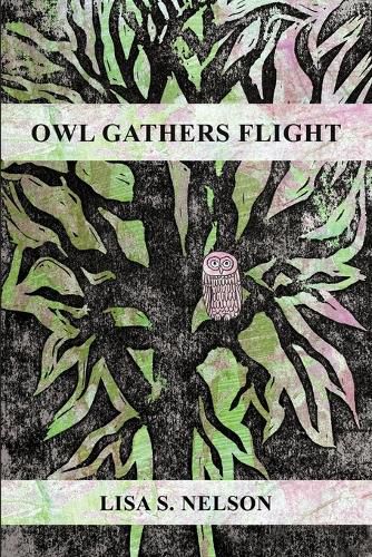 Cover image for Owl Gathers Flight