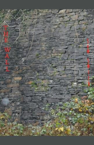 Cover image for The Wall