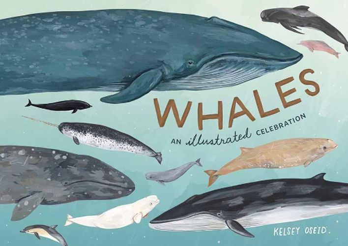 Cover image for Whales: An Illustrated Celebration