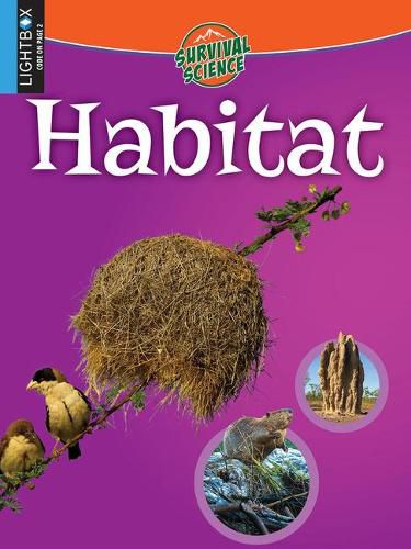 Cover image for Habitat