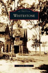 Cover image for Whitestone