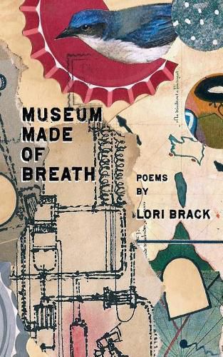 Cover image for Museum Made of Breath