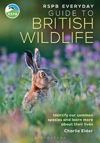 Cover image for RSPB Everyday Guide to British Wildlife