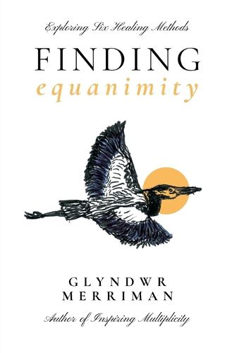 Cover image for Finding Equanimity