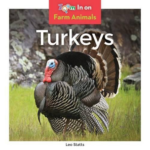 Cover image for Turkeys