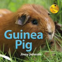 Cover image for Guinea Pig