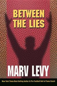 Cover image for Between the Lies