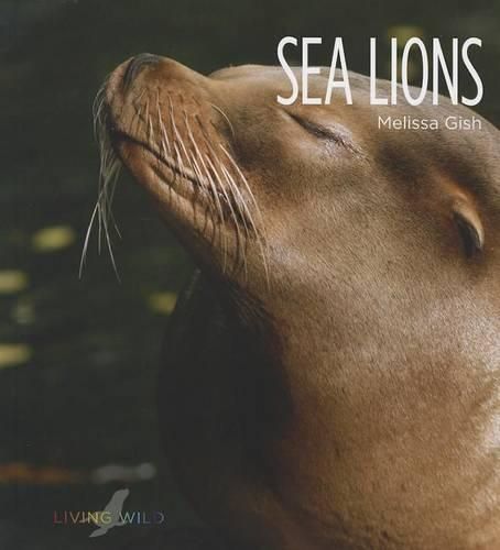 Cover image for Sea Lions
