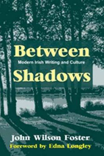 Between Shadows: Modern Irish Writing and Culture