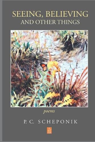 Cover image for Seeing, Believing, and Other Things: Poems