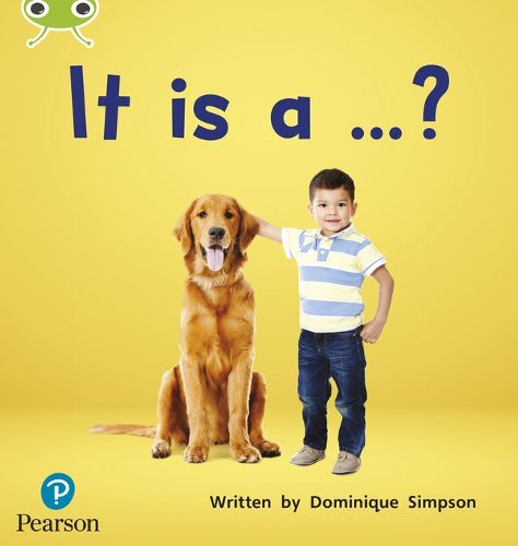 Cover image for Bug Club Phonics Non-Fiction Early Years and Reception Phase 2 Unit 3 It is a ...?