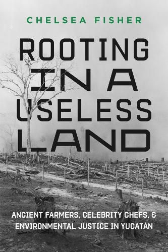 Cover image for Rooting in a Useless Land