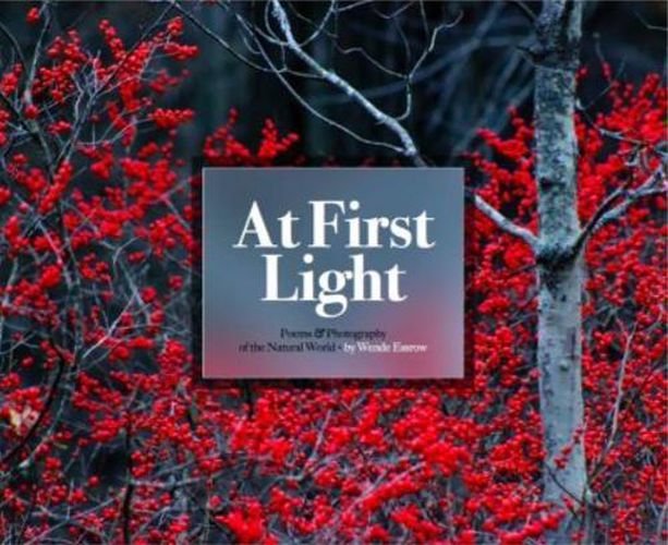 Cover image for At First Light: Poems & Photography