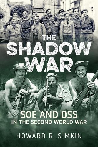 Cover image for The Shadow War