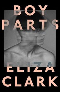 Cover image for Boy Parts