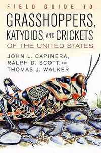 Cover image for Field Guide to Grasshoppers, Katydids, and Crickets of the United States