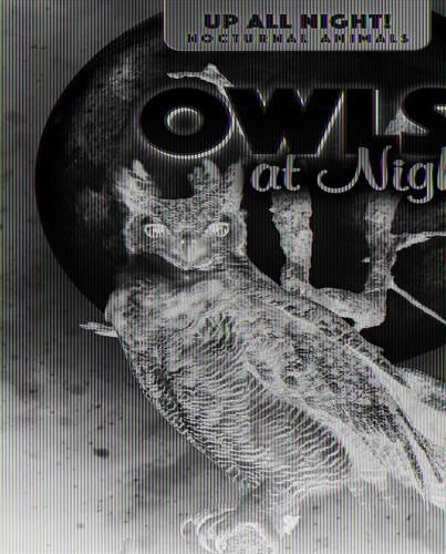 Cover image for Owls at Night