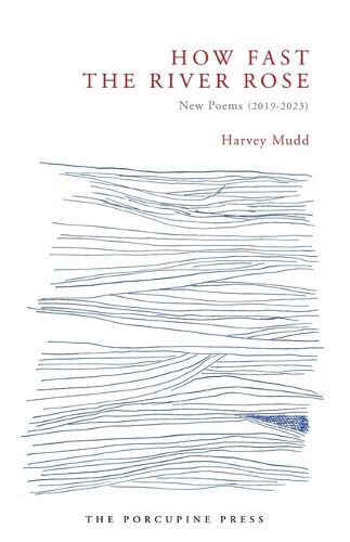 Cover image for How Fast the River Rose