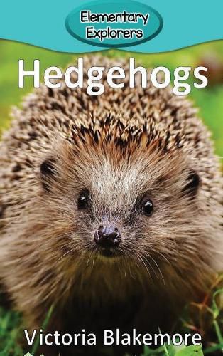 Cover image for Hedgehogs