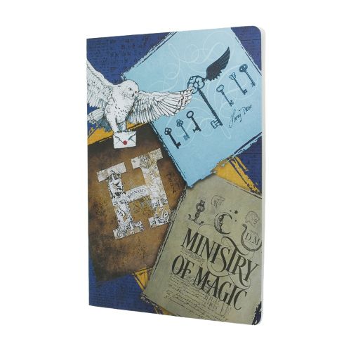 Cover image for Moments of Magic (Harry Potter Collection) A4 Grid Cahier