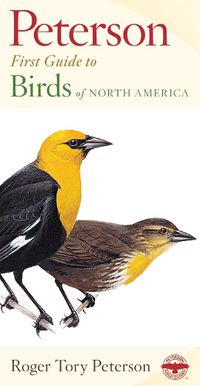 Cover image for First Guide to Birds