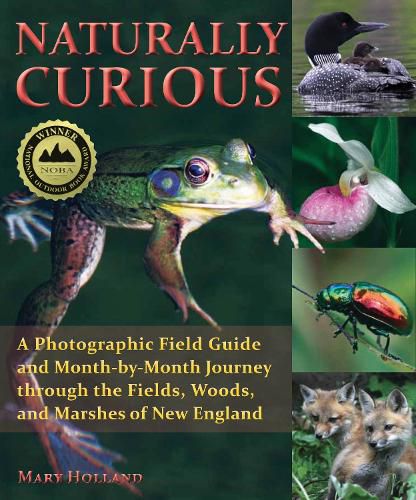 Cover image for Naturally Curious: A Photographic Field Guide and Month-By-Month Journey Through the Fields, Woods, and Marshes of New England
