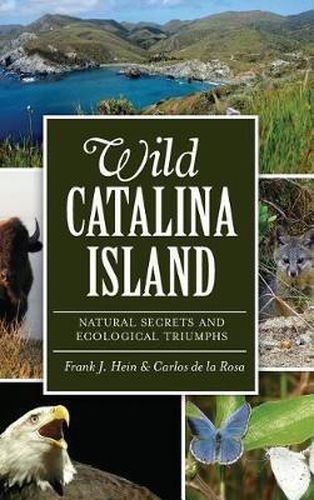 Cover image for Wild Catalina Island: Natural Secrets and Ecological Triumphs