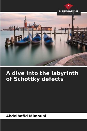 Cover image for A dive into the labyrinth of Schottky defects