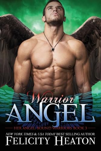 Cover image for Warrior Angel