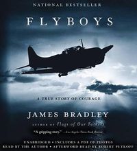 Cover image for Flyboys: A True Story of Courage