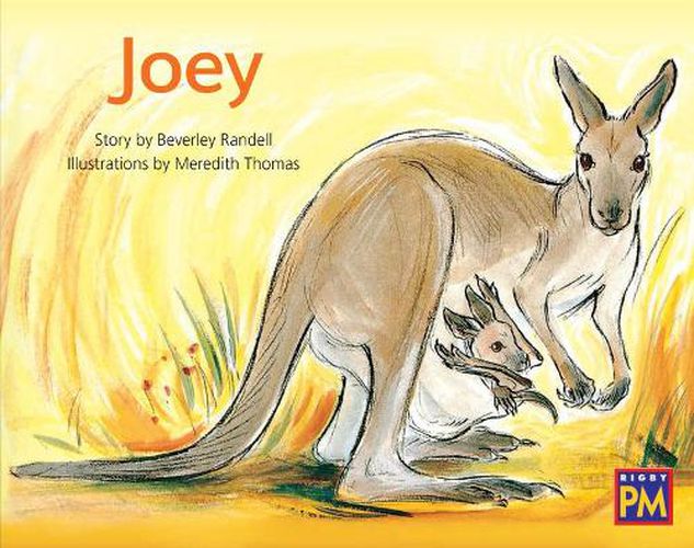 Cover image for Joey: Leveled Reader Green Fiction Level 14 Grade 1-2