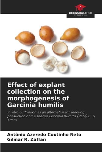 Cover image for Effect of explant collection on the morphogenesis of Garcinia humilis