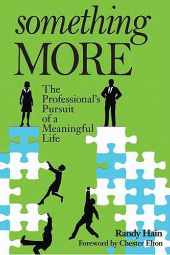 Cover image for Something More: The Professional's Pursuit of a Meaningful Life