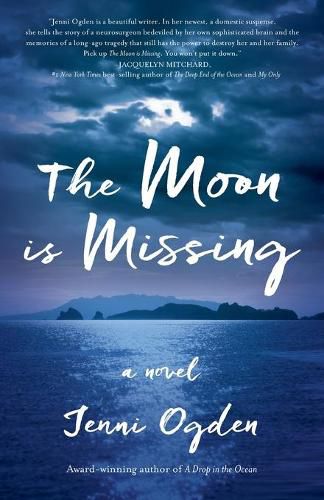 Cover image for The Moon is Missing