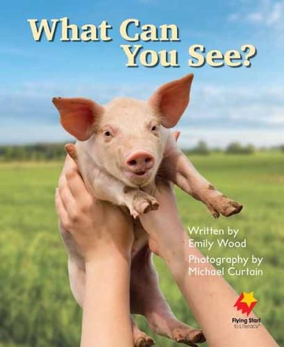 Cover image for What Can You See?