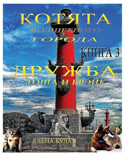 Cover image for Котята Волшебного Города. Дружба. Тоша и Бр&#1