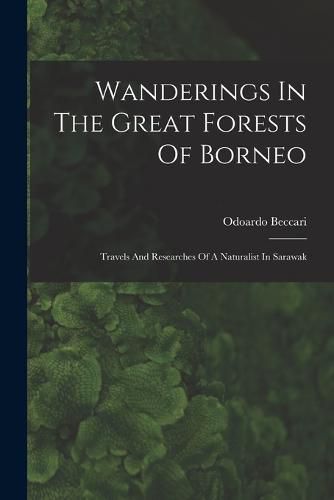 Cover image for Wanderings In The Great Forests Of Borneo