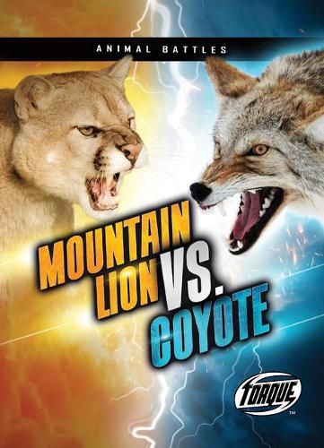 Cover image for Mountain Lion VS. Coyote