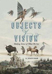 Cover image for Objects of Vision: Making Sense of What We See