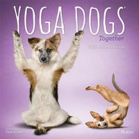 Cover image for Yoga Dogs Together 2020 Square Plato