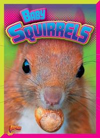 Cover image for Baby Squirrels