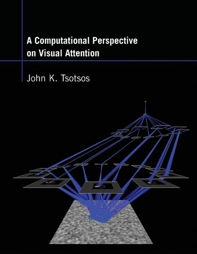A Computational Perspective on Visual Attention