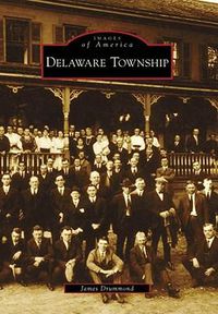 Cover image for Delaware Township