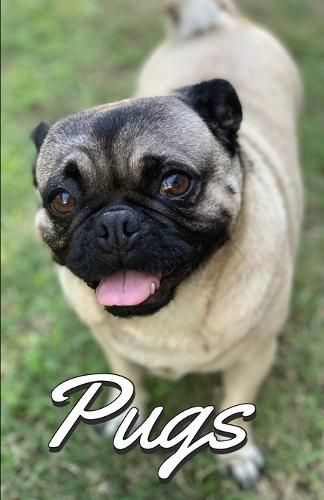 Cover image for Pugs Photo Book for Writing and Note Taking: Writing Pad with Pug Pictures, Dog Lover Gifts
