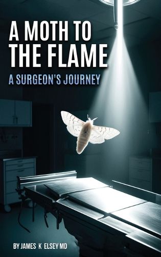 Cover image for A Moth to the Flame