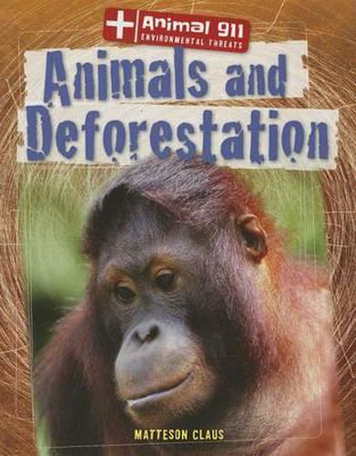 Cover image for Animals and Deforestation