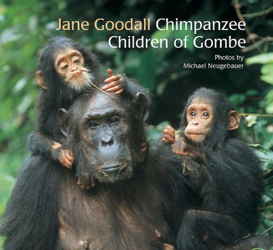 Cover image for Chimpanzee Children of Gombe, The