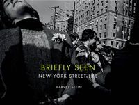 Cover image for Briefly Seen: New York Street Life